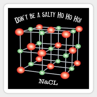 Dont't Be a Salty Ho Ho Ho! Magnet